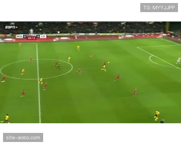 狼队四人伤停，特劳雷肋部伤势影响中场调度